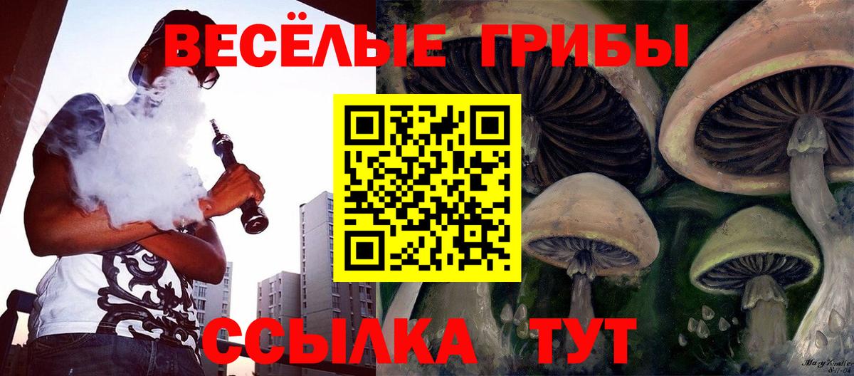 Галлюциногенные грибы GOLDEN TEACHER  Псилоцибиновые грибы Psilocybine cubensis  Брянск  Вход с VPN 