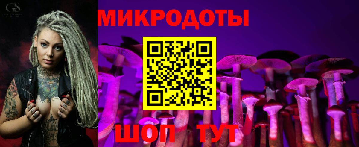 Псилоцибиновые грибы MAGIC MUSHROOMS Брянск